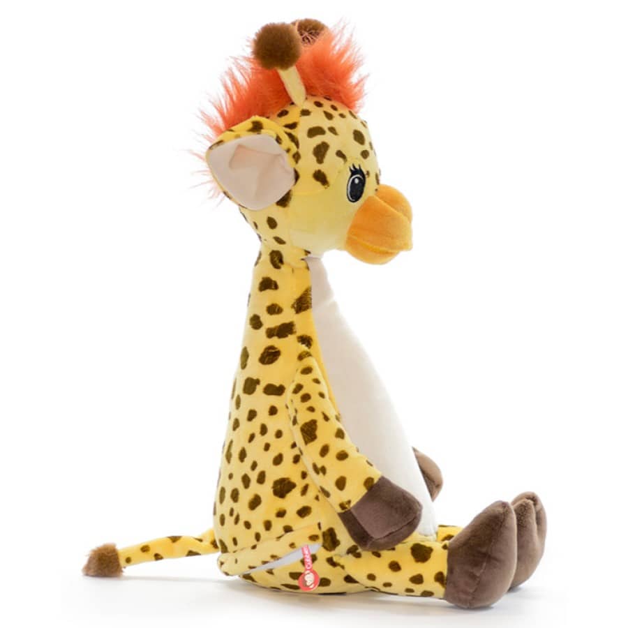 Kaisukas Kaelkirjak 2 kaisukas kaelkirjak