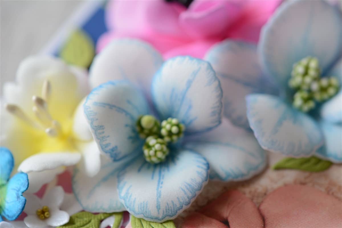 Katsikukaart "TÜDRUK JA POISS" 5 katsikukaart kaksikutele