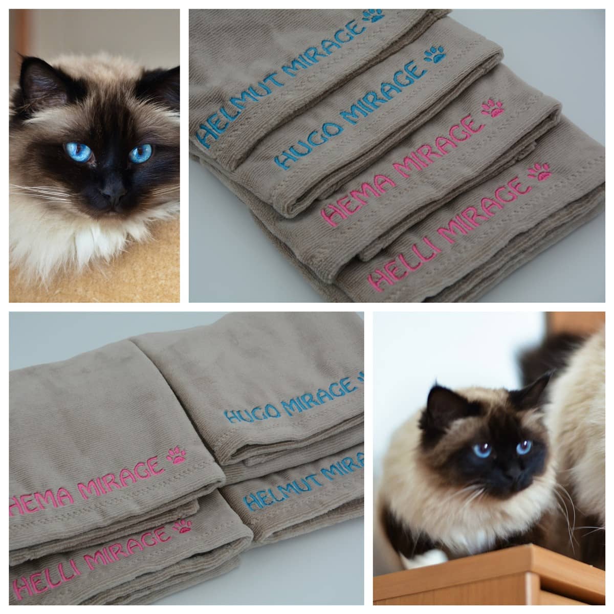 Lemmikloomadele 3 Lemmikloomatekike