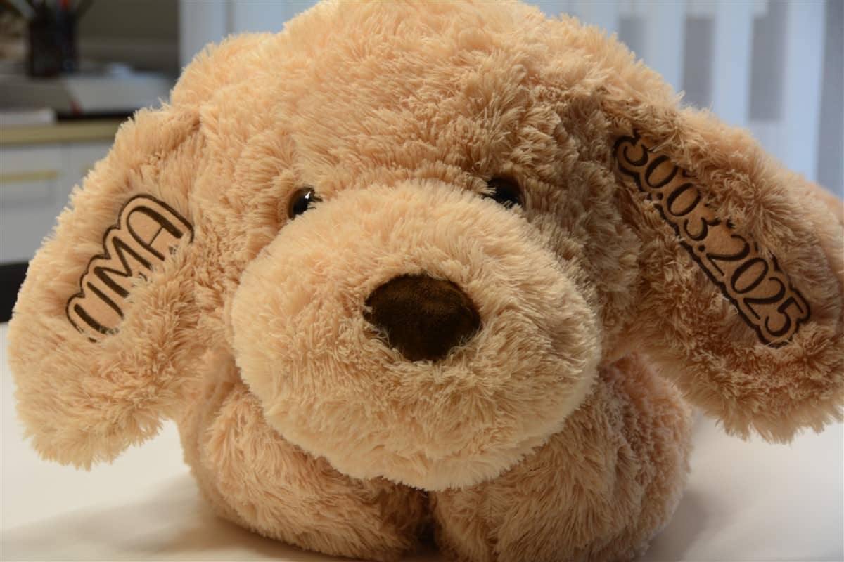 Suur personaliseeritud koer 1 DSC 0490