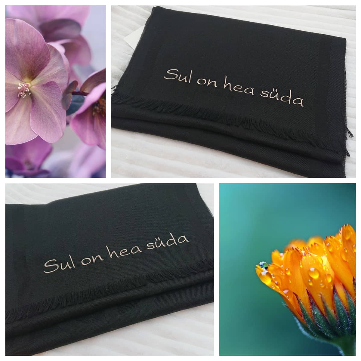 Sall "Sul on hea süda" 2 Hea suda