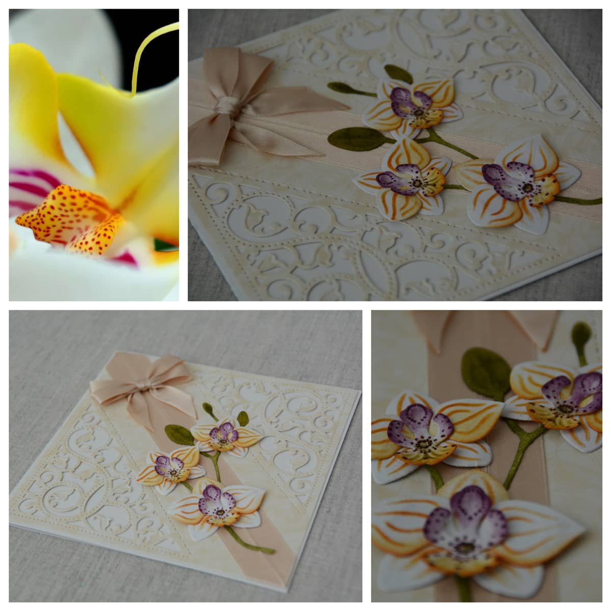 Õnnitluskaart "Oled parim" 2 01